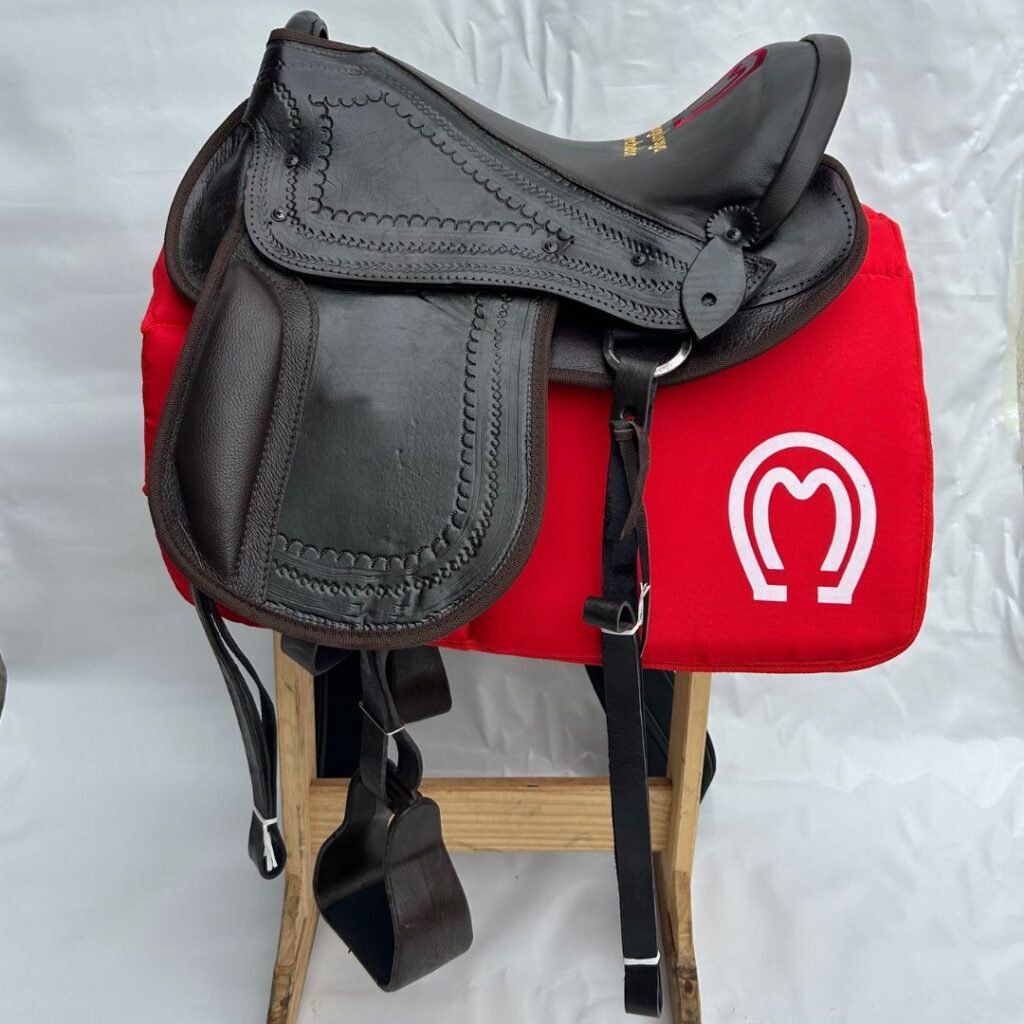 Sela Australiana Mangalarga V.A com Manta